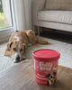 Pause Vitaminée Fluffy Belly, un chien reçoit un biscuit à la pomme l'après-midi