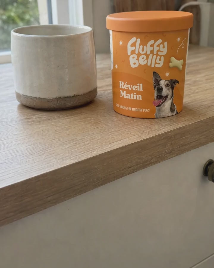 Réveil Matin Fluffy Belly, un chien reçoit un biscuit au lait au réveil